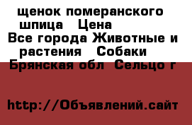 щенок померанского  шпица › Цена ­ 50 000 - Все города Животные и растения » Собаки   . Брянская обл.,Сельцо г.